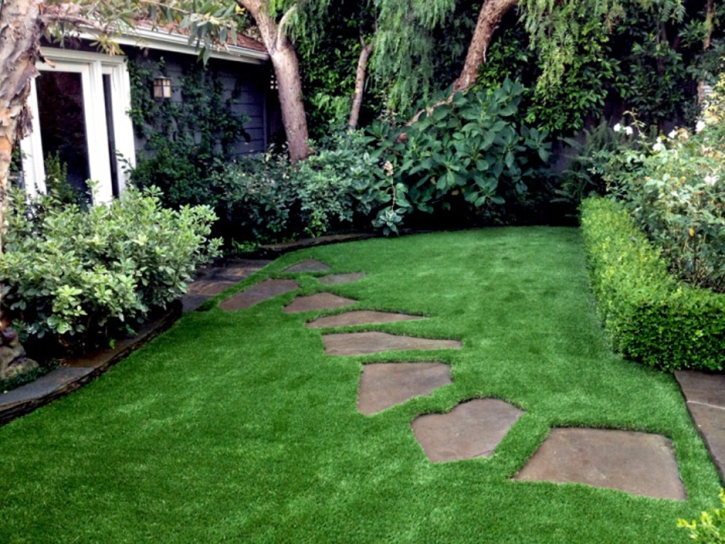 Synthetic Grass Bowie, Arizona Landscape Design, Small Backyard Ideas