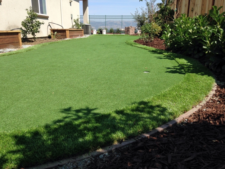 Synthetic Grass Cost Ali Chukson, Arizona Lawn And Landscape, Backyard Design