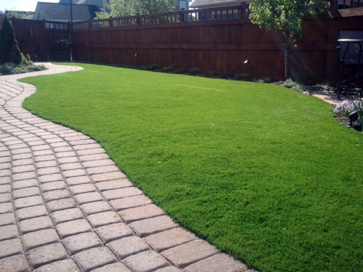 Synthetic Grass Cost Anegam, Arizona Dogs, Backyard Designs