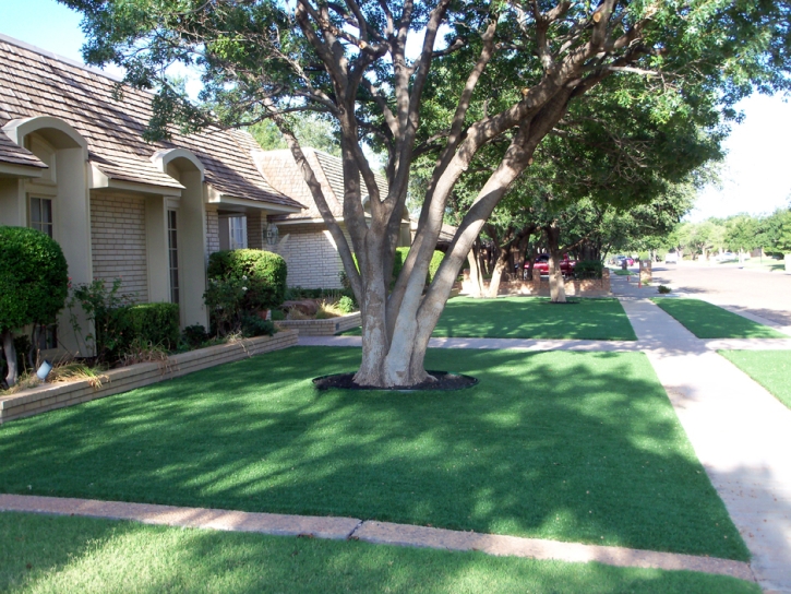 Synthetic Grass Cost Benson, Arizona Roof Top, Front Yard Landscaping