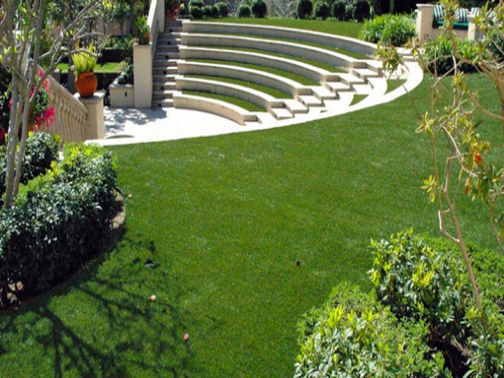 Synthetic Grass Cost Beyerville, Arizona Garden Ideas