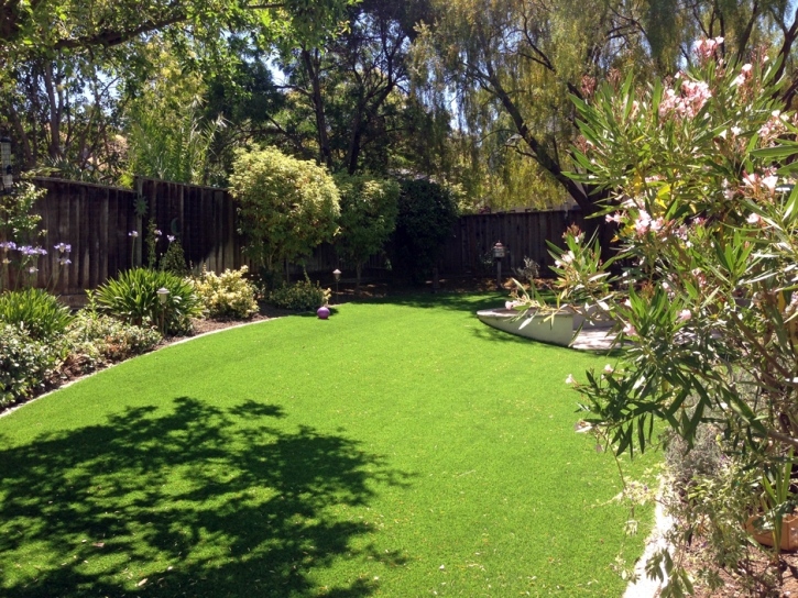 Synthetic Grass Cost Catalina, Arizona Landscaping, Backyard