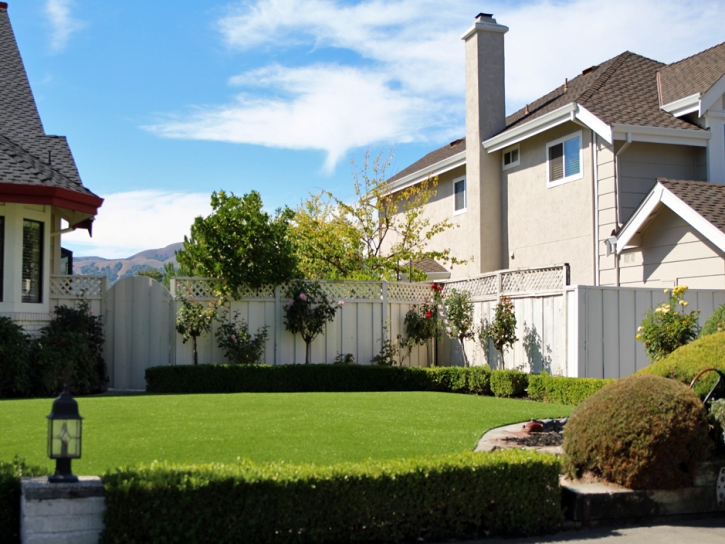 Synthetic Grass Cost Catalina, Arizona Design Ideas, Front Yard Ideas