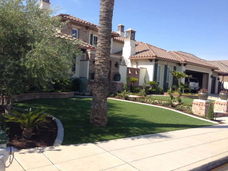 Synthetic Grass Cost Mescal, Arizona Gardeners, Front Yard Ideas