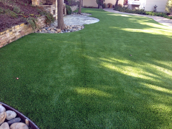 Synthetic Grass Cost Paulden, Arizona Backyard Playground, Backyard Landscape Ideas