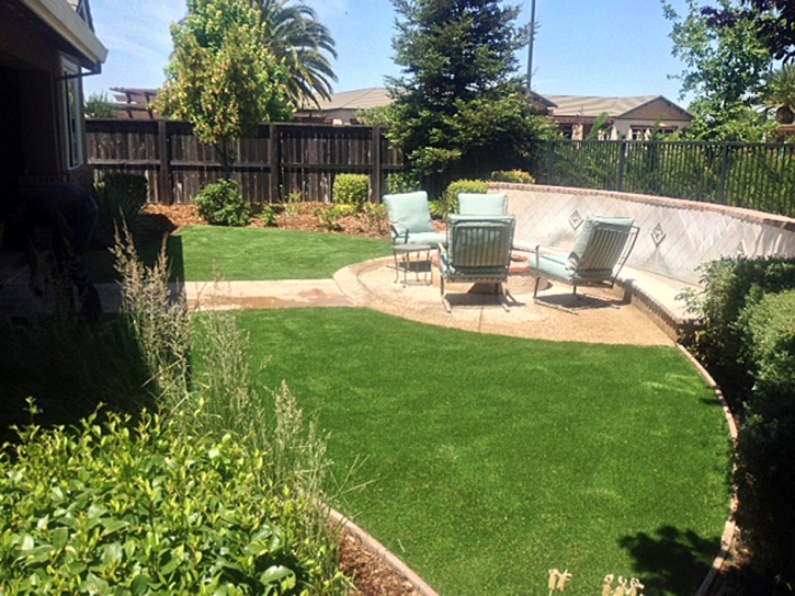 Synthetic Grass Cost Tacna, Arizona Roof Top, Backyard Garden Ideas