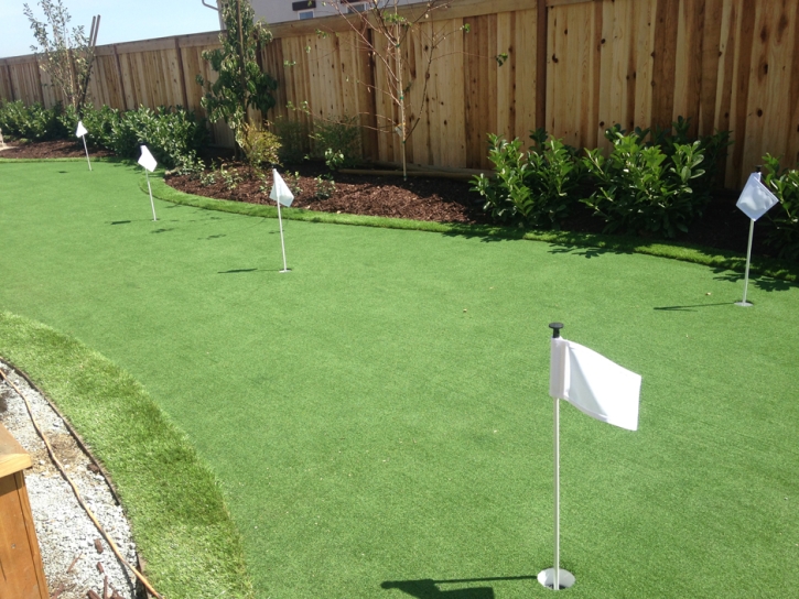 Synthetic Grass East Fork, Arizona Putting Green Grass, Backyard Makeover