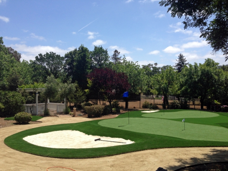 Synthetic Grass Flowing Wells, Arizona Office Putting Green, Front Yard Landscape Ideas