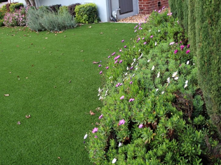 Synthetic Grass Gila Crossing, Arizona Landscape Ideas, Front Yard Landscape Ideas