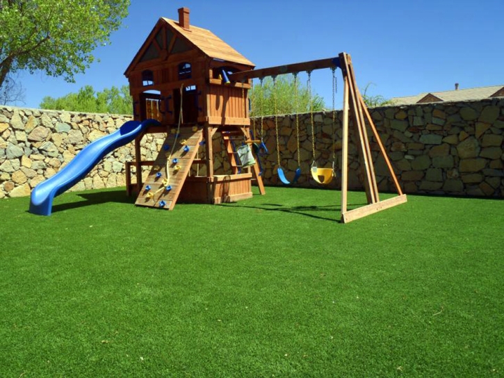 Synthetic Grass Golden Valley, Arizona Backyard Playground, Backyard Ideas