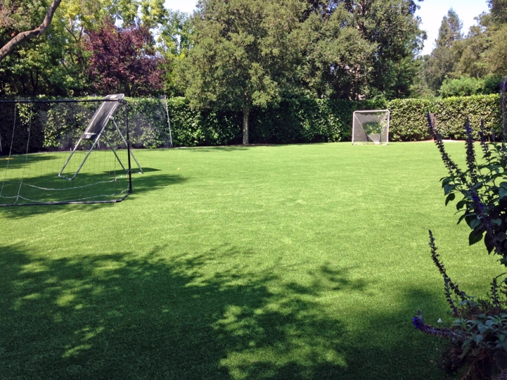 Synthetic Grass Paulden, Arizona Sports Athority, Backyard Landscape Ideas