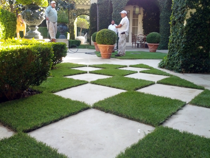 Synthetic Grass Seligman, Arizona Roof Top, Pavers