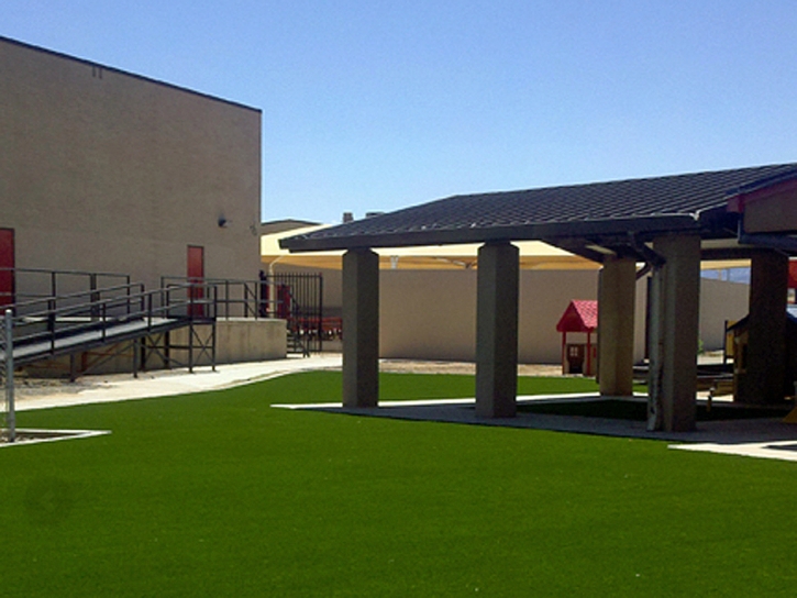 Synthetic Grass Shongopovi, Arizona Landscaping, Commercial Landscape