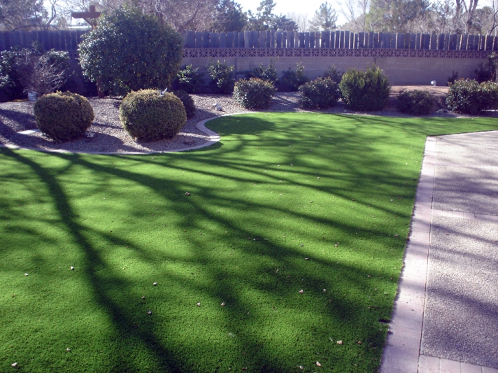 Synthetic Grass Sonoita, Arizona Landscape Photos, Front Yard Landscape Ideas