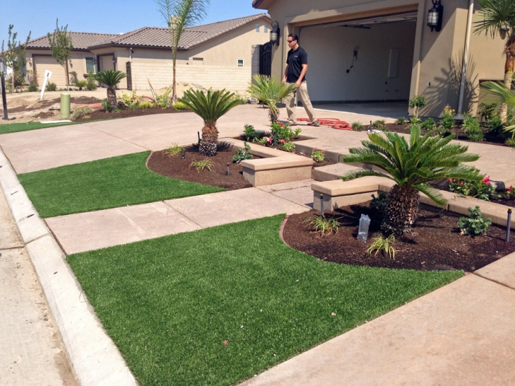 Synthetic Grass South Tucson, Arizona Design Ideas, Front Yard Ideas