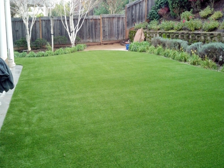 Synthetic Grass Sunizona, Arizona Gardeners, Backyard Landscape Ideas