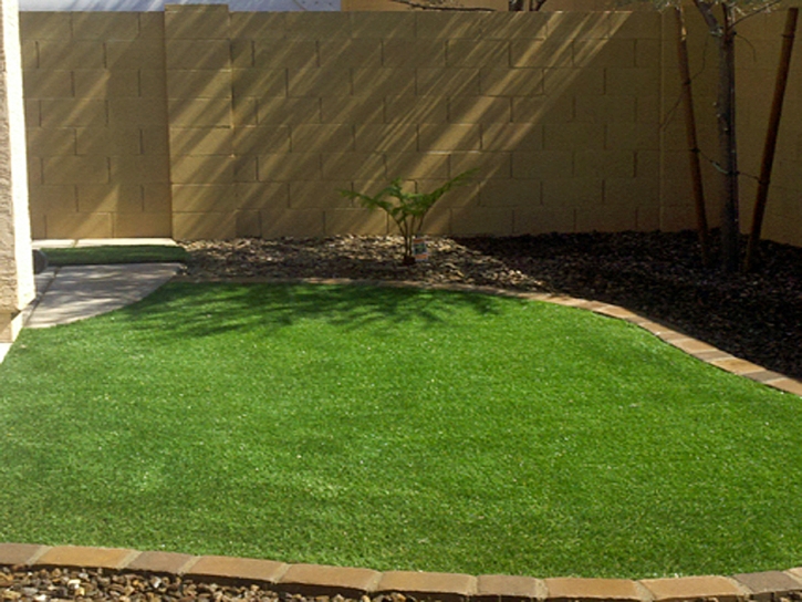 Synthetic Grass Tusayan, Arizona Design Ideas, Backyard Designs