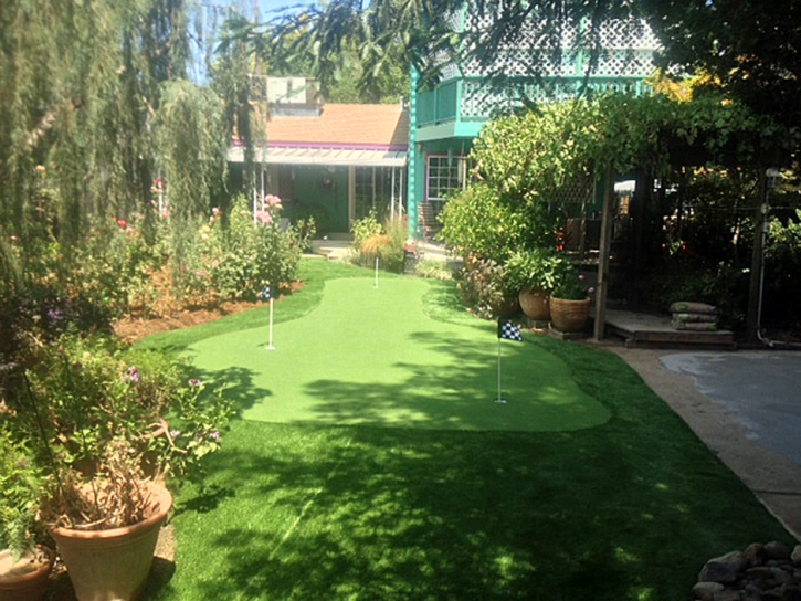 Synthetic Grass White Mountain Lake, Arizona Backyard Playground