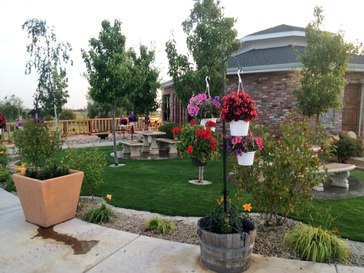 Synthetic Lawn Gisela, Arizona Landscape Design, Commercial Landscape