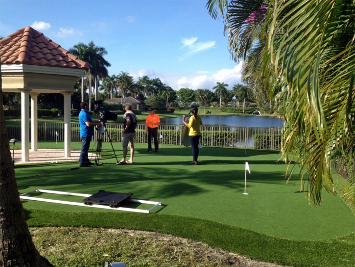 Synthetic Lawn Gold Camp, Arizona How To Build A Putting Green, Small Backyard Ideas