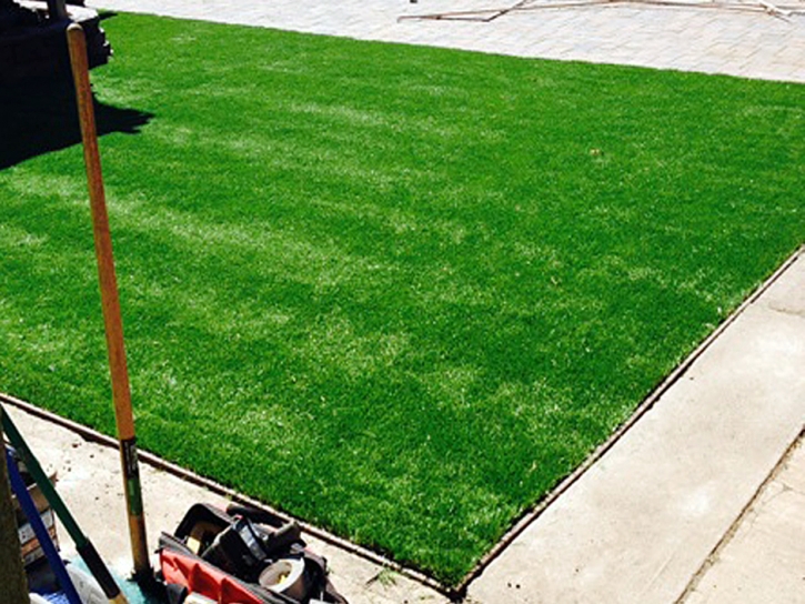 Synthetic Lawn Gold Camp, Arizona Home And Garden