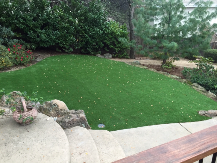 Synthetic Lawn Kohls Ranch, Arizona Landscaping Business, Beautiful Backyards