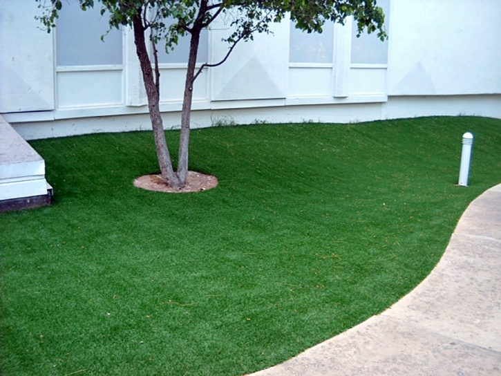 Synthetic Lawn Munds Park, Arizona Landscape Design, Commercial Landscape