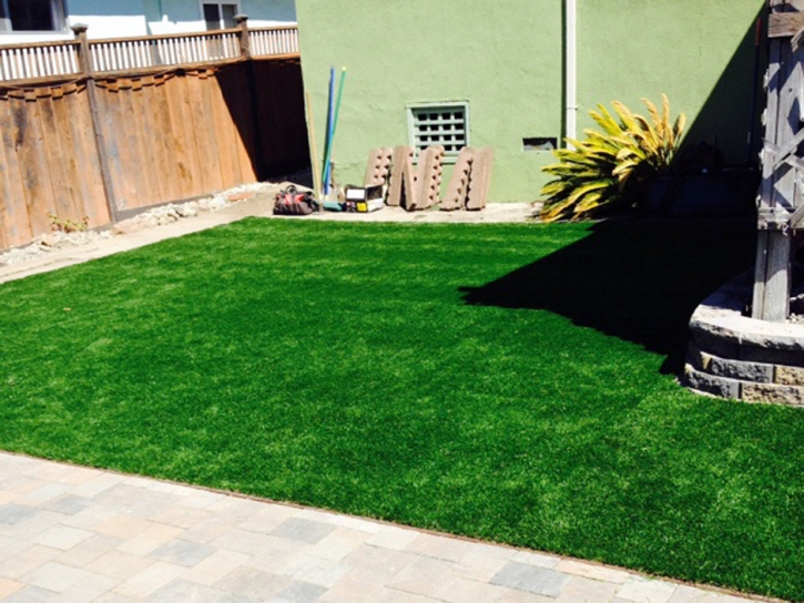 Synthetic Lawn Paradise Valley, Arizona Grass For Dogs, Backyard