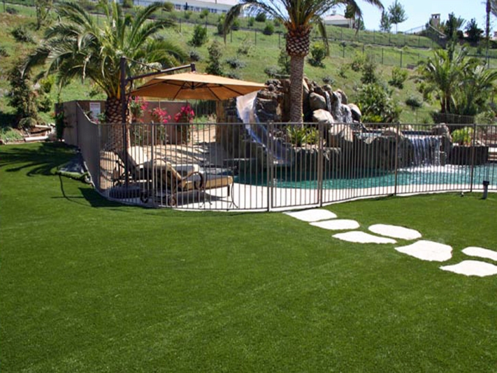 Synthetic Lawn Pine, Arizona Roof Top, Natural Swimming Pools