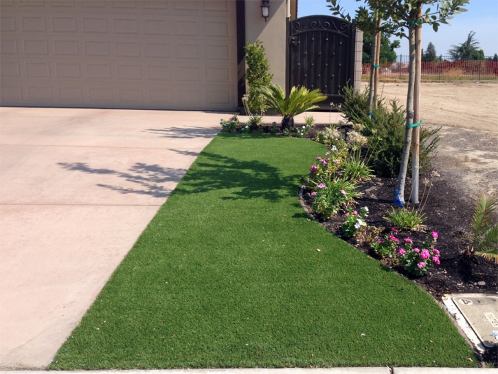 Synthetic Lawn San Luis, Arizona City Landscape, Front Yard Landscape Ideas