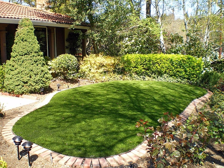 Synthetic Lawn Santa Cruz, Arizona Lawn And Landscape, Backyard Designs