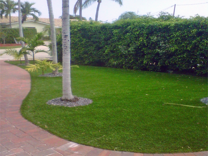 Synthetic Lawn Tumacacori-Carmen, Arizona Landscape Ideas, Front Yard Landscaping