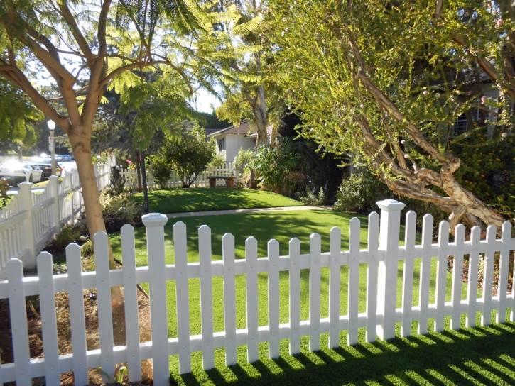 Synthetic Lawn Wide Ruins, Arizona Lawns, Front Yard Landscaping