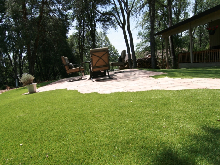 Synthetic Turf Bryce, Arizona Landscaping Business, Backyard Garden Ideas