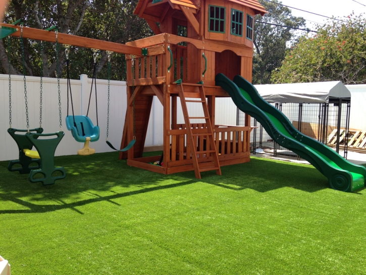 Synthetic Turf LeChee, Arizona Landscape Photos, Backyard Landscape Ideas