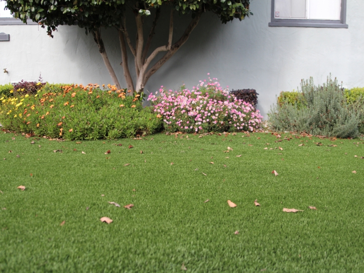 Synthetic Turf Oro Valley, Arizona Landscape Rock, Small Front Yard Landscaping