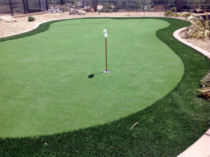 Synthetic Turf Payson, Arizona Home And Garden, Backyard Landscape Ideas