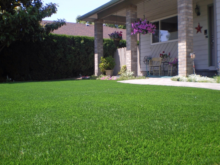 Synthetic Turf Rio Rico, Arizona Design Ideas, Front Yard Landscaping Ideas