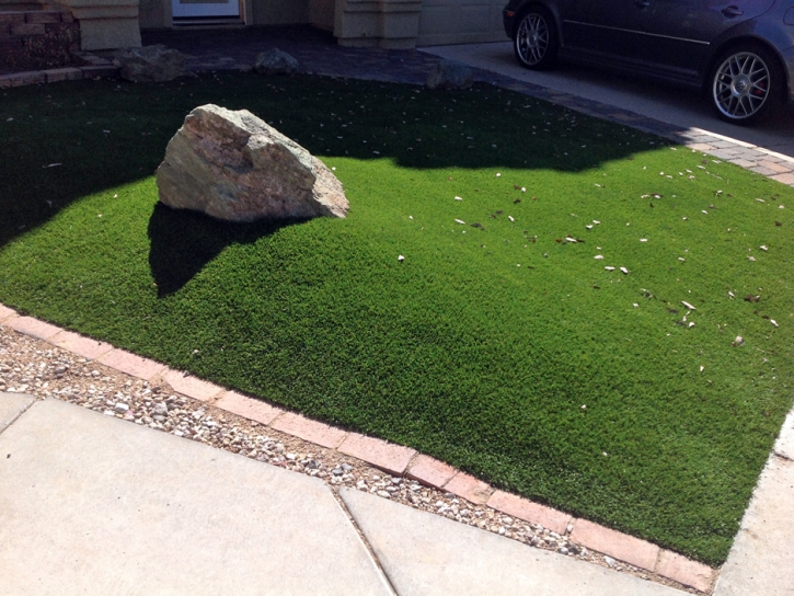 Synthetic Turf South Tucson, Arizona Lawn And Garden