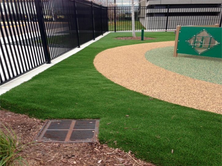 Synthetic Turf Supplier Brenda, Arizona Lawn And Garden, Commercial Landscape