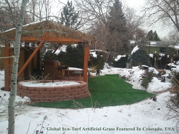 Synthetic Turf Supplier Fountain Hills, Arizona Landscape Design, Backyard Makeover