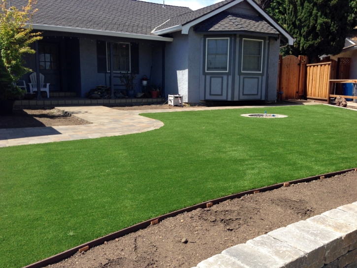 Synthetic Turf Supplier Haivana Nakya, Arizona Home And Garden, Front Yard