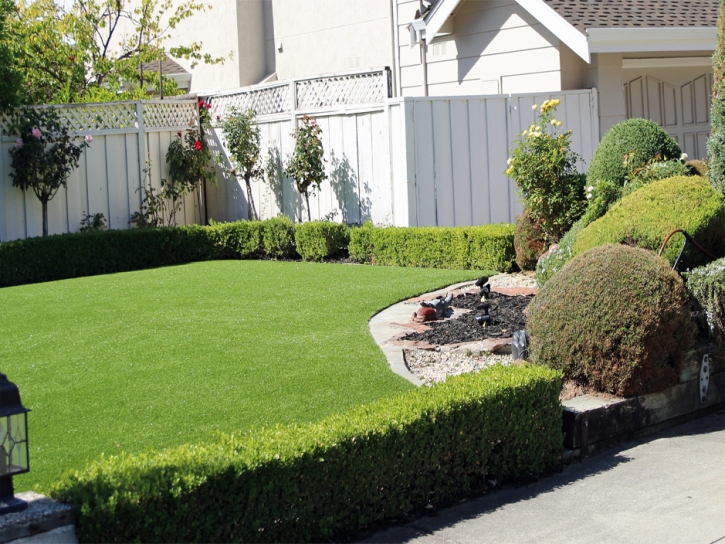 Synthetic Turf Supplier Palominas, Arizona Rooftop, Front Yard Landscaping Ideas