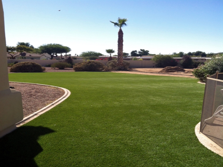 Synthetic Turf Supplier Pinal, Arizona Paver Patio, Backyard Garden Ideas