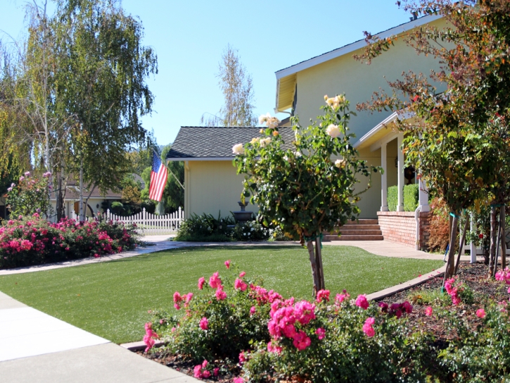 Synthetic Turf Supplier Pine, Arizona Backyard Deck Ideas, Front Yard