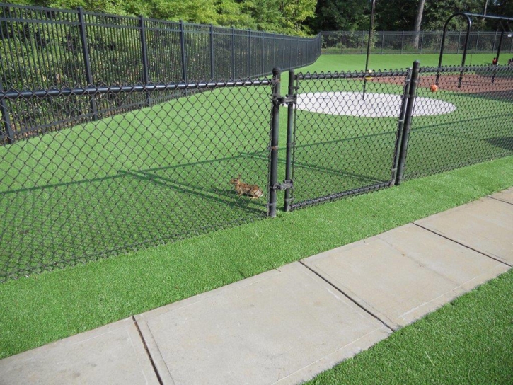 Synthetic Turf Supplier Pinetop-Lakeside, Arizona Backyard Deck Ideas, Recreational Areas