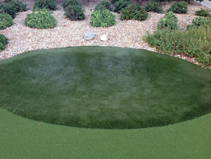 Synthetic Turf Supplier Village of Oak Creek (Big Park), Arizona Best Indoor Putting Green