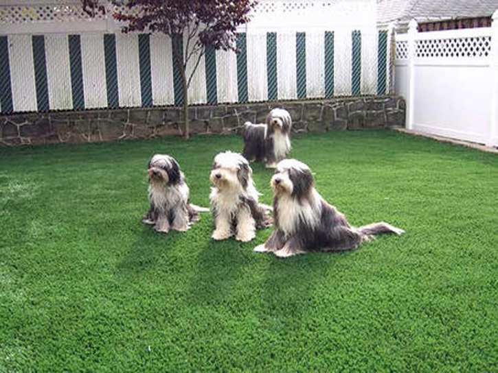 Synthetic Turf Tucson Estates, Arizona Landscaping Business, Small Backyard Ideas