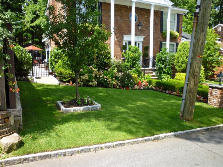 Turf Grass Parker Strip, Arizona Lawn And Garden, Front Yard Design