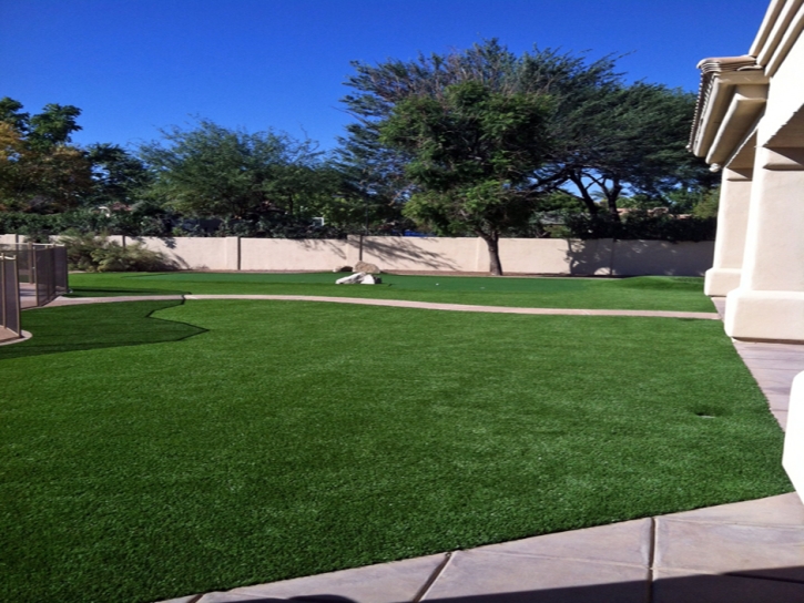 Turf Grass Pisinemo, Arizona Design Ideas, Front Yard Landscaping Ideas